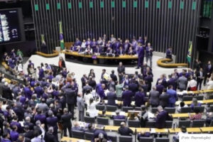 Câmara dos deputados aprova isenção de impostos para carnes, peixes, queijos e sal