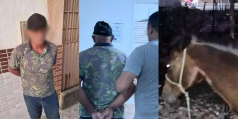 Sem título-1