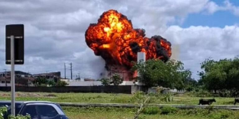Sem título-1