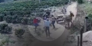 Sem título-3