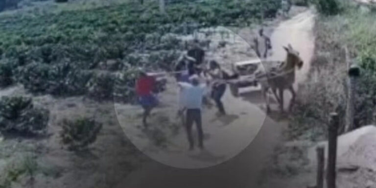 Sem título-3