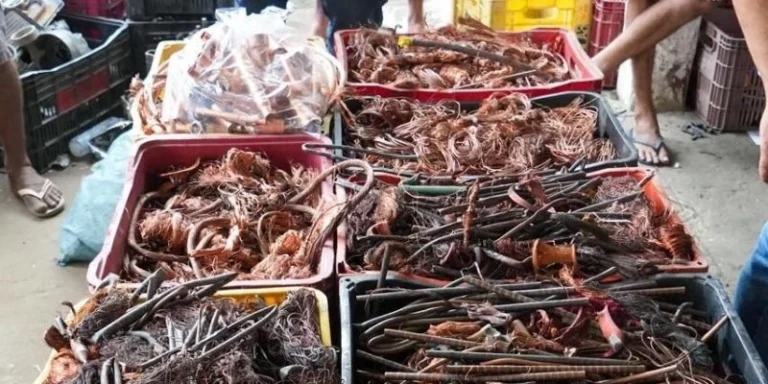 thumb - 2026-01-14T152355.400