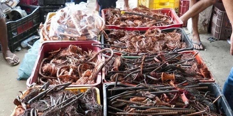 thumb - 2026-01-14T152355.400