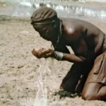 thumb - 2026-01-21T165946.713