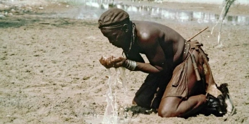 thumb - 2026-01-21T165946.713