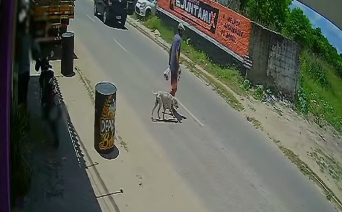 78805a221a988e79ef3f42d7c5bfd418-199