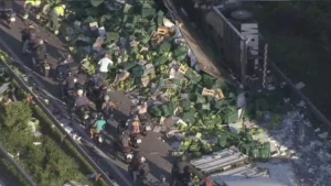 acidente-br-116-bananas-scaled