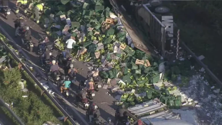 acidente-br-116-bananas-scaled