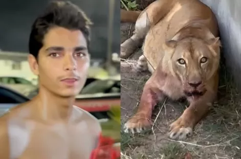 c5b6bff677759b0235239f61f0ec7826