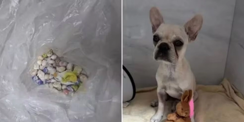 thumb - 2026-04-22T183829.230