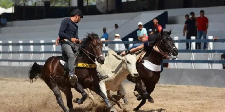 thumb - 2026-04-24T202347.430