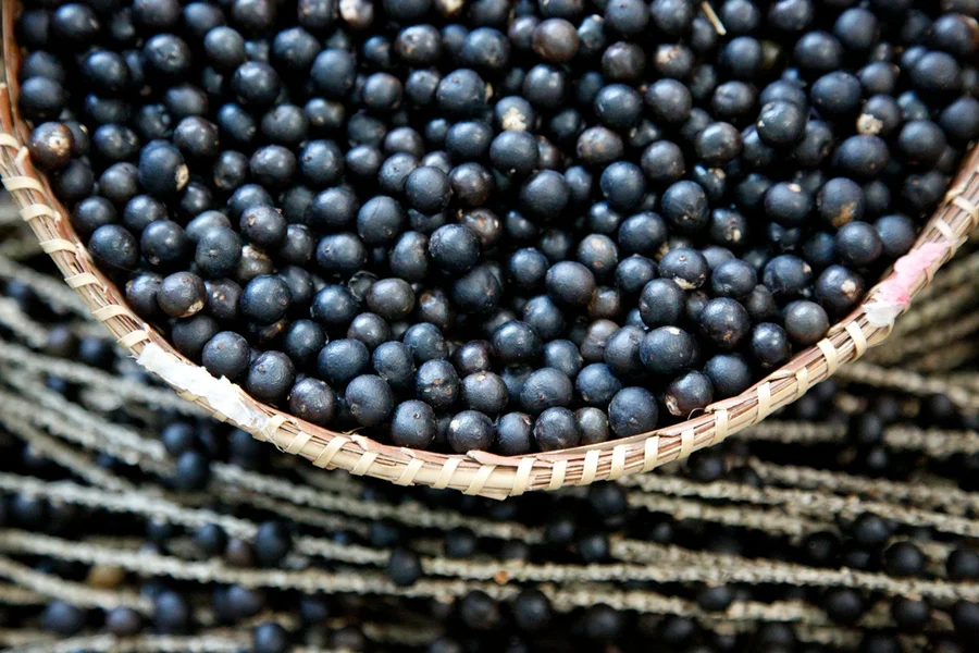 acai-4