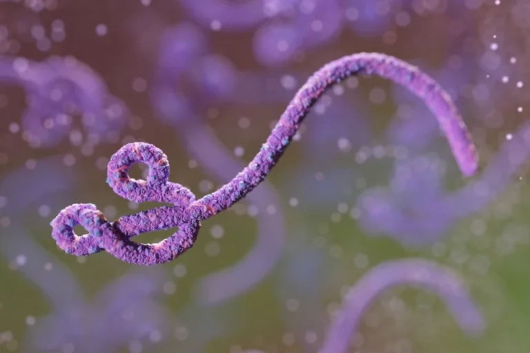 ebola-metropolesjpg