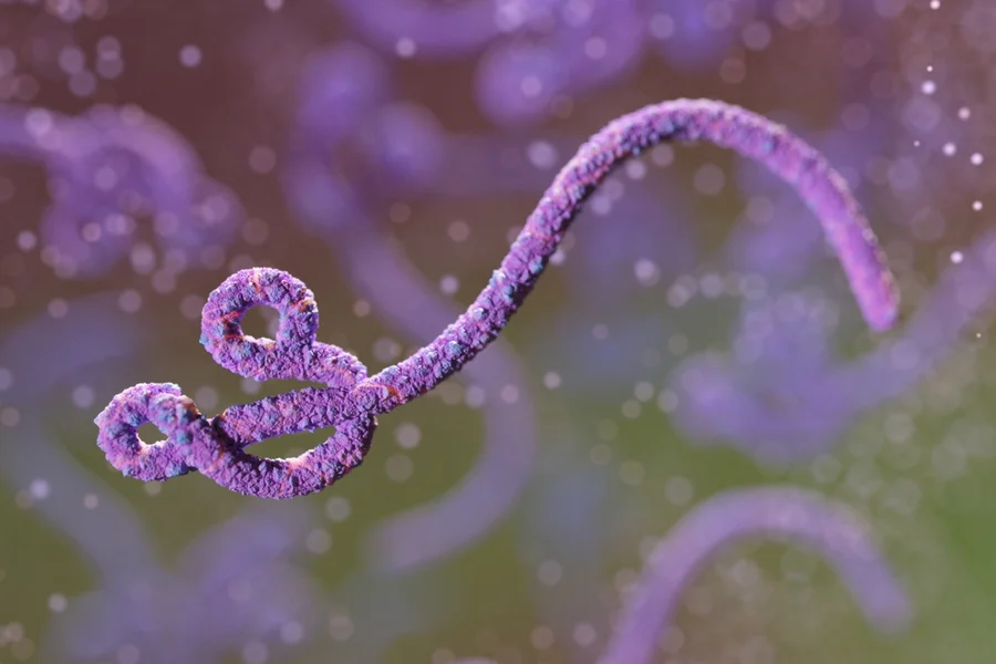 ebola-metropolesjpg