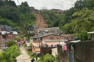 pernambuco