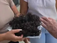 adolescente de 12 anos teve cabelo cortado por vizinha