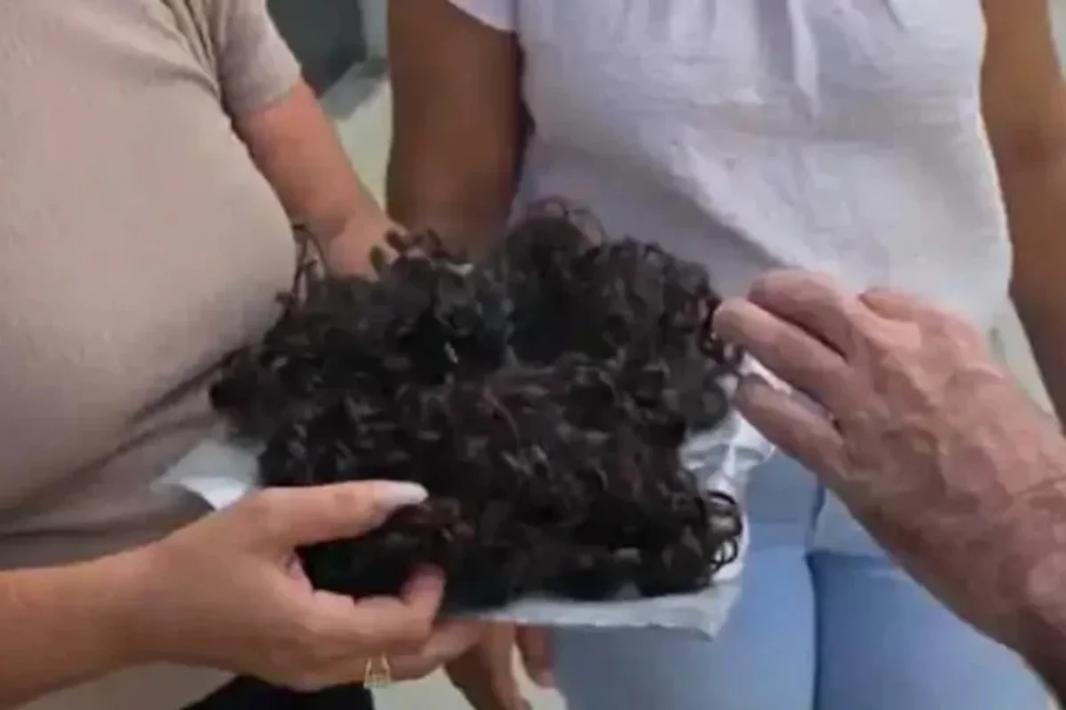 Adolescente de 12 anos é atacada com golpes de faca e tem parte do cabelo cortado por vizinha em Alagoas 1 adolescente de 12 anos teve cabelo cortado por vizinha