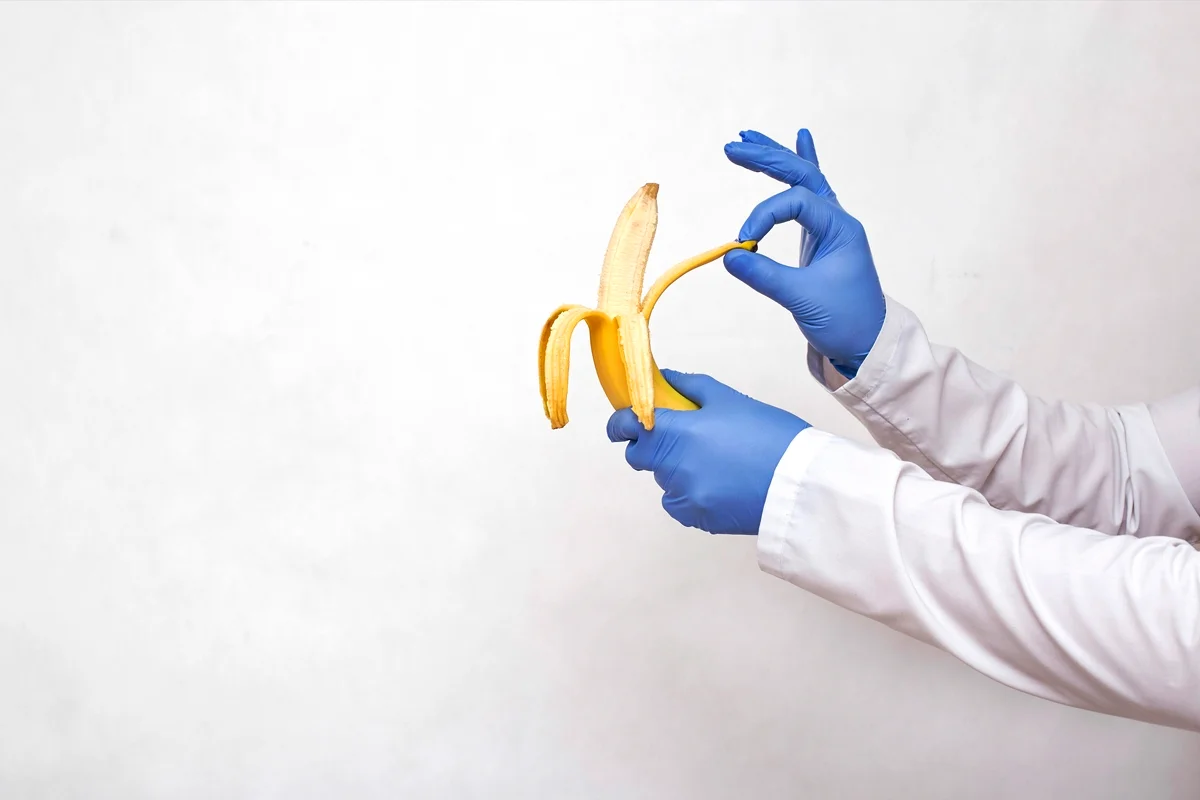 Doença de Peyronie pode causar curvatura, encurtamento e dificuldades na vida sexual; entenda os sinais e tratamentos 1 banana