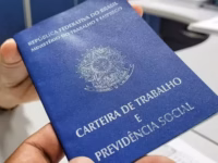 cateira 1