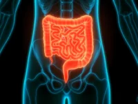 intestino 4