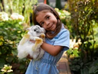 pets 1