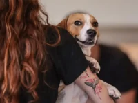 pets doacao 1.jpg