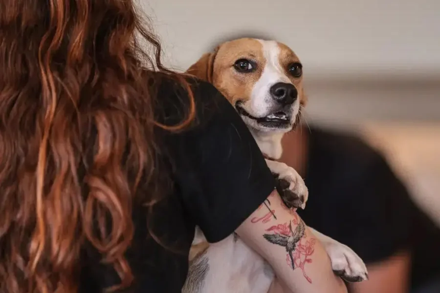 pets doacao 1.jpg
