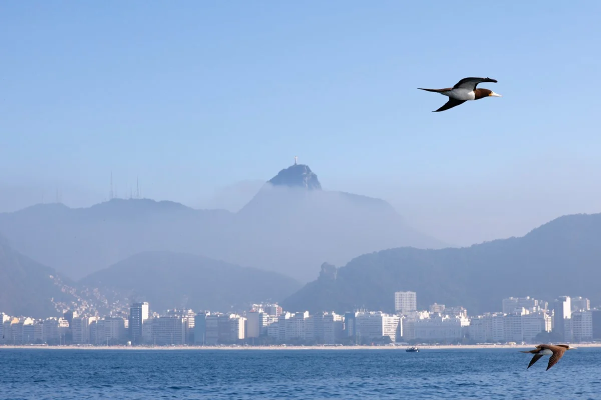 Frente fria avança pelo Sul enquanto calor supera 30°C no Sudeste nesta quarta-feira 1 rbr8056
