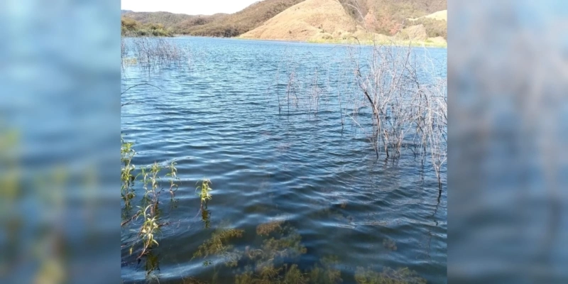 thumb 10 2