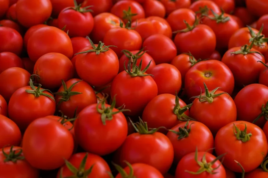 tomates