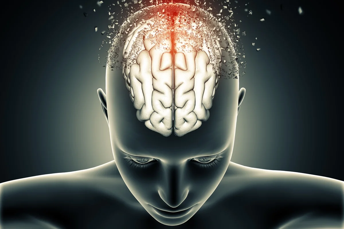 cerebro feminino mcapa