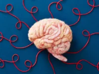 5ac71c24 cerebro cabeca mental