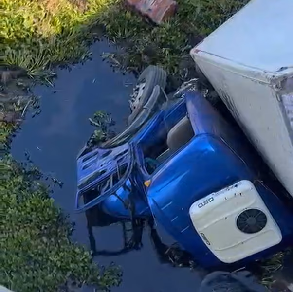 Captura de tela 2026 10 22 082612