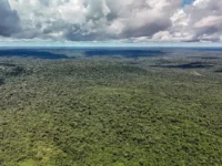 amazonia.jpg
