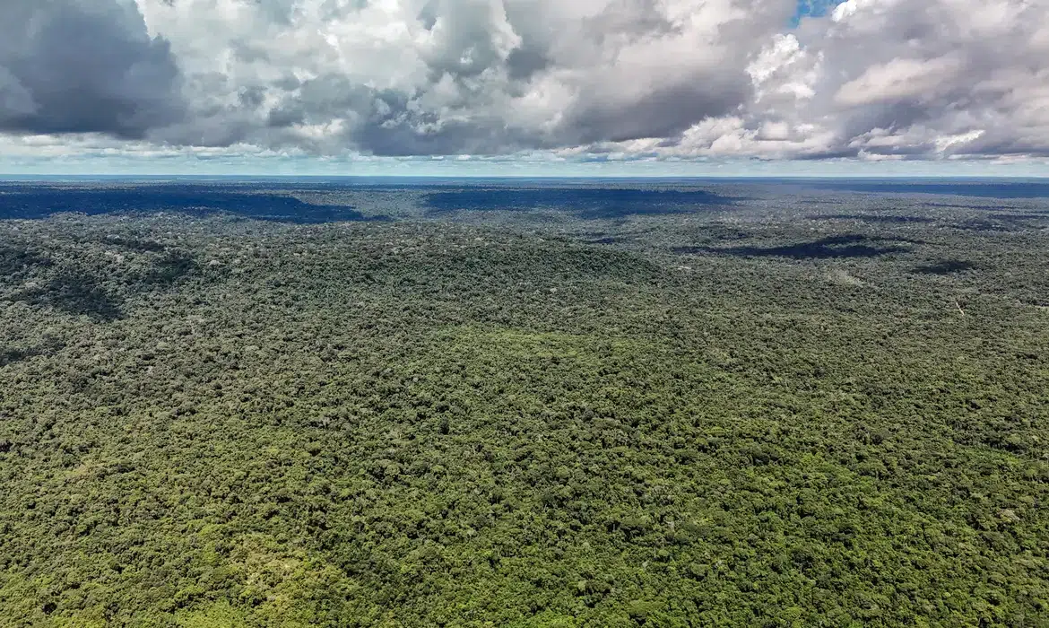 amazonia.jpg
