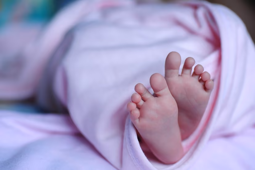 bebe FOTO Pixabay 1200x800 1