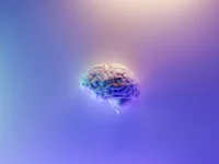 cerebro milad fakurian unsplash 1