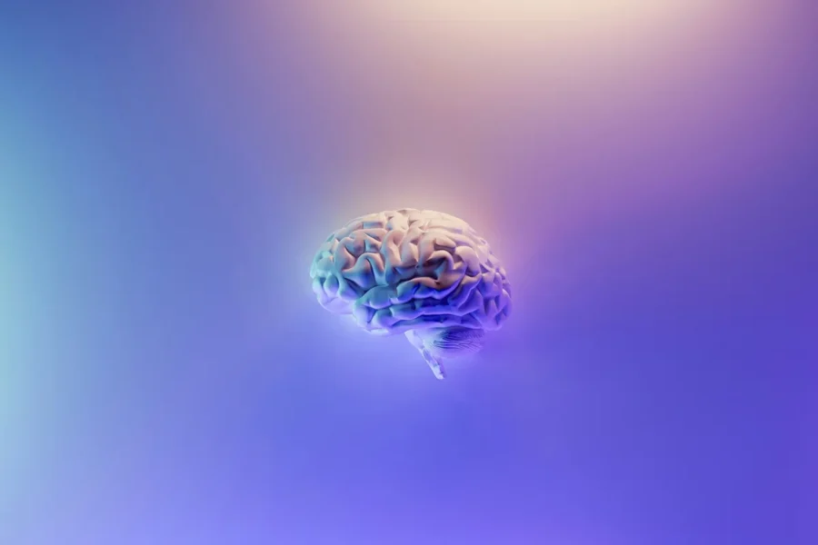 cerebro milad fakurian unsplash