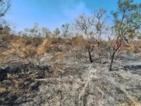clima seca.jpg
