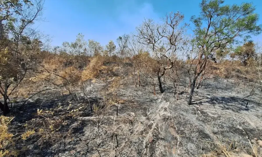 clima seca.jpg
