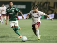 palmeirasxfluminense