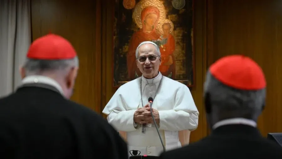 papa leao xiv3 ascom vaticano.jpeg
