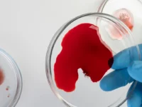 sangue capa