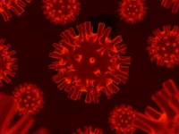 virus capa